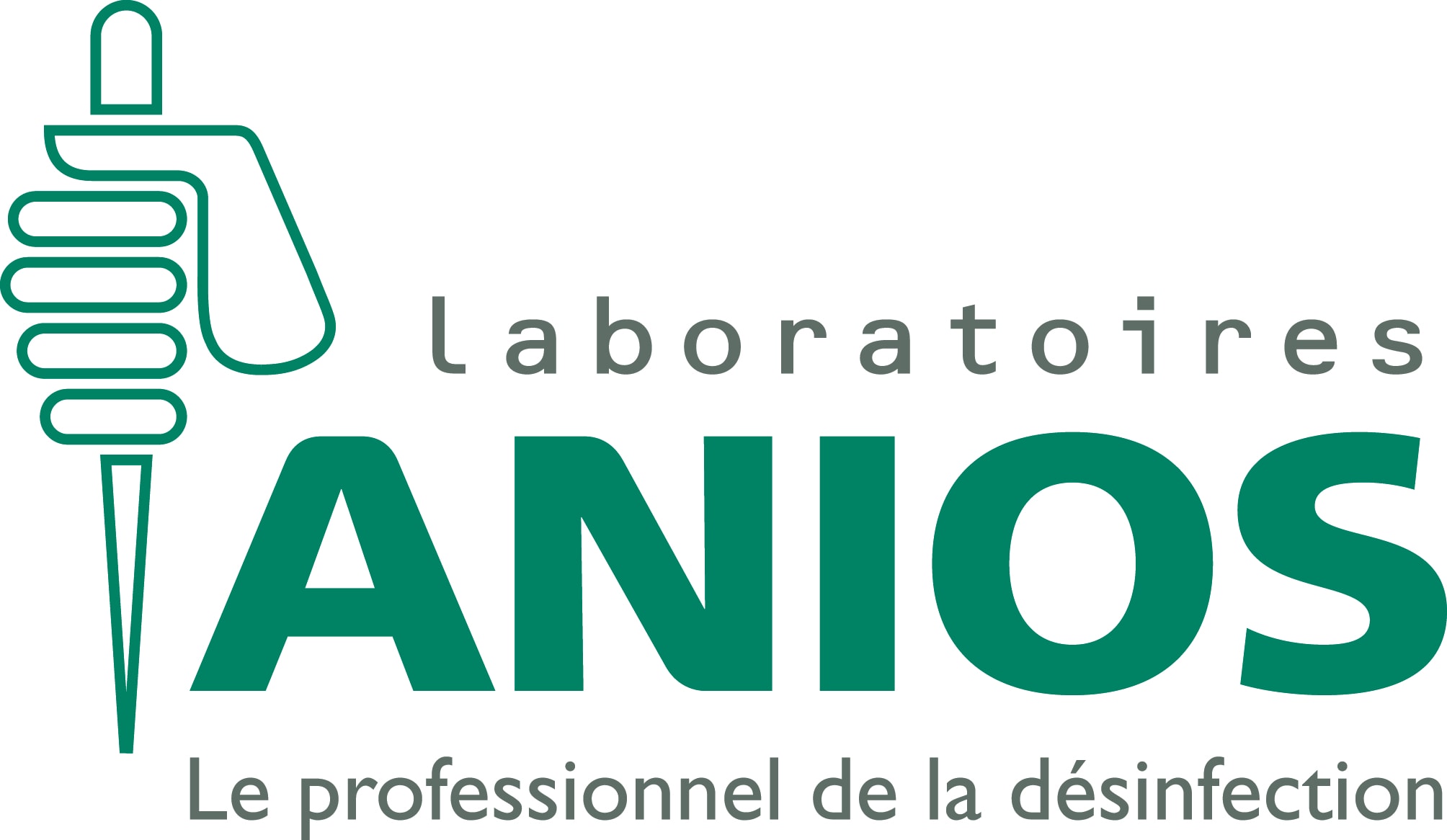 Anios Logo